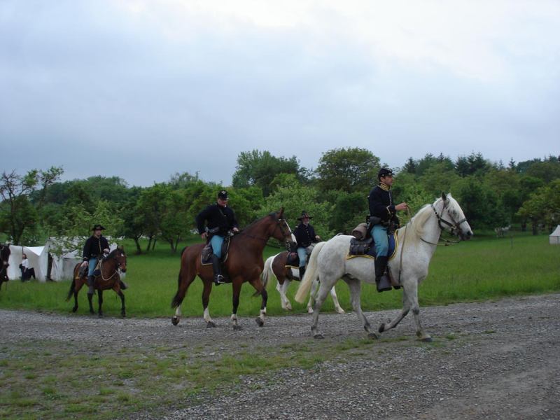 * Image 15