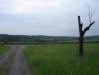 0017_Battlefield.jpg - 2006:05:26 09:14:57