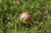 DSC_0093.jpg - 2006:09:08 15:53:20