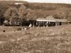 015_obsazeni_vlaku_severany.JPG - 