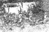 malba012.jpg - 2006:09:09 12:10:28
