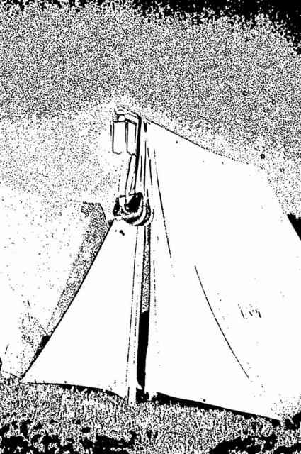 * Image 14