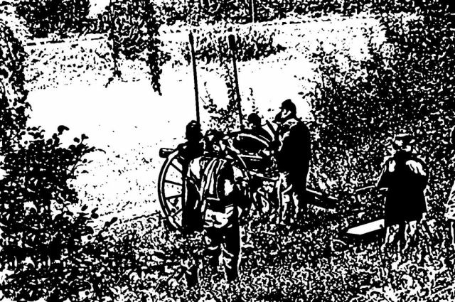 * Image 10