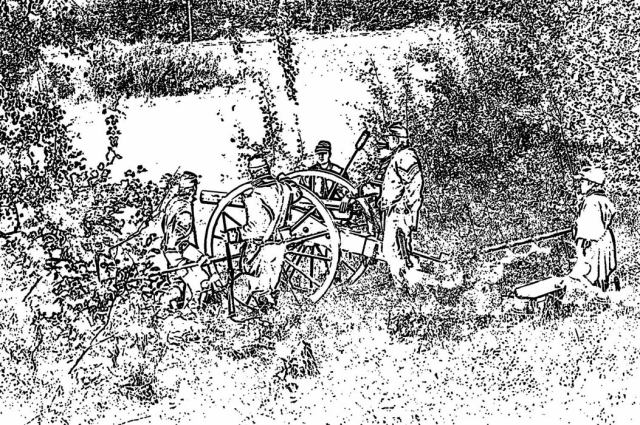 * Image 12