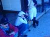 006sew810i_nez_prijdeme_na_radu.JPG - 2006:09:23 14:46:48