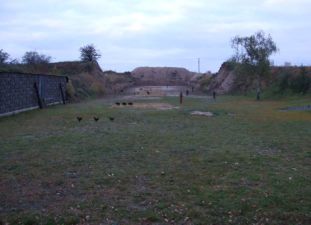 * Image 6