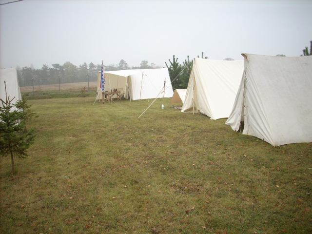 * Image 31