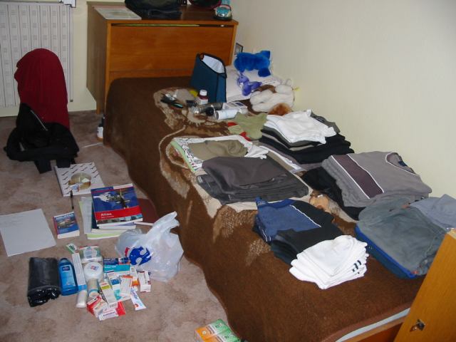 * Image 2