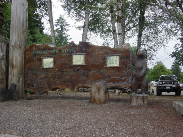 * Image 5