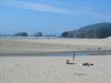 Picture6 069.jpg - 2003:08:10 00:14:00