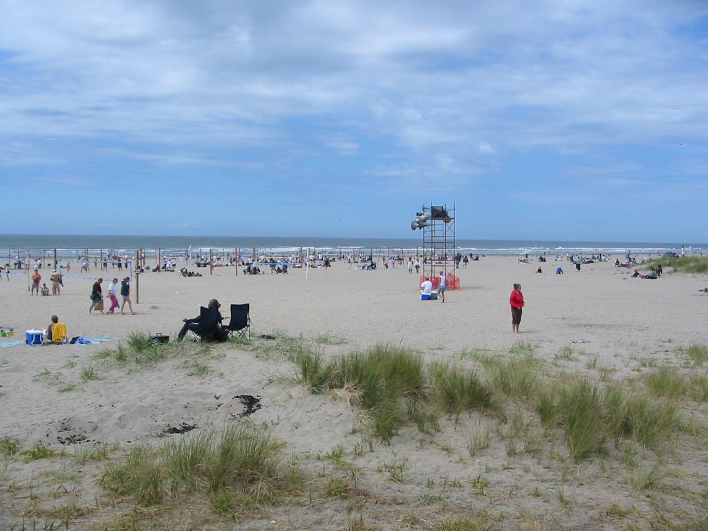 * Image 12