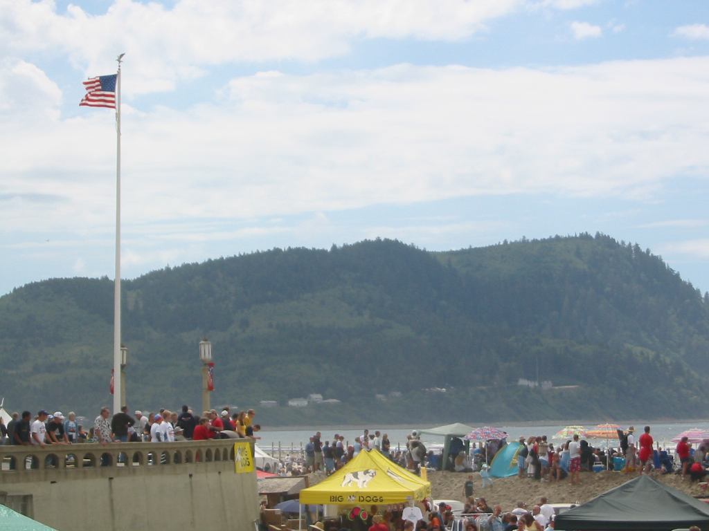 * Image 14