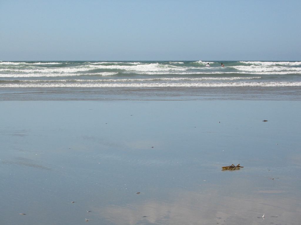 * Image 49