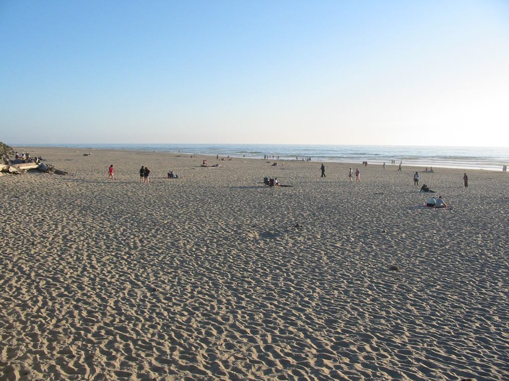 * Image 79