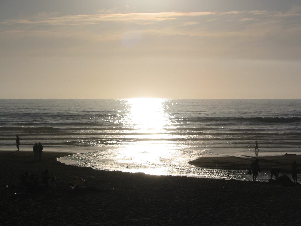 * Image 81