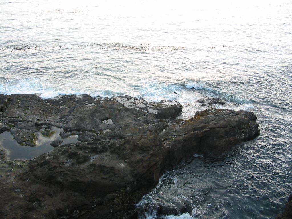 * Image 92