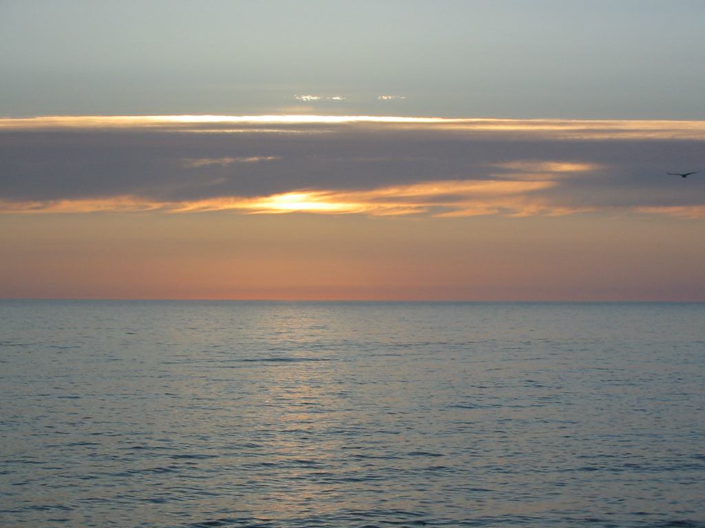 * Image 99