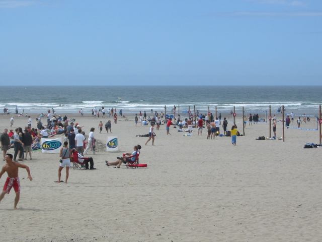 * Image 15