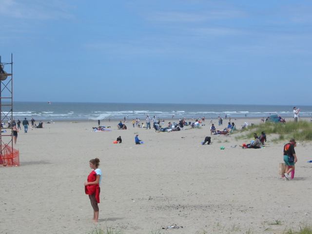 * Image 16
