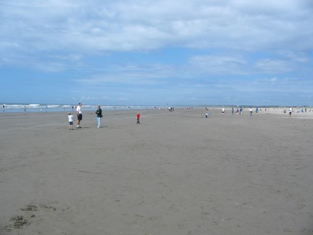 * Image 27
