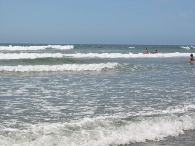 * Image 43