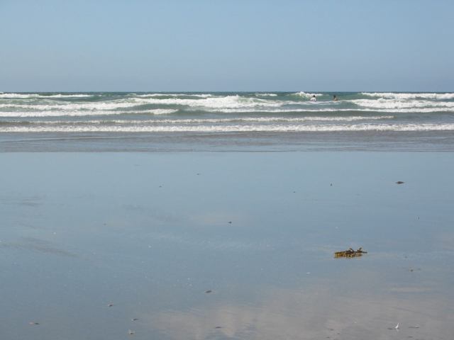 * Image 49