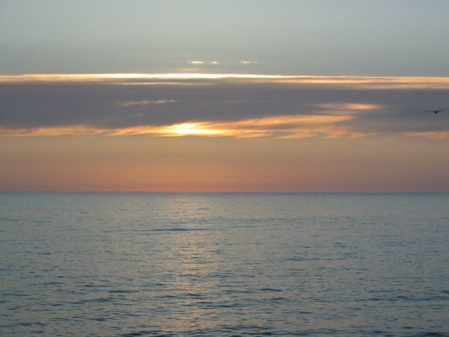 * Image 99