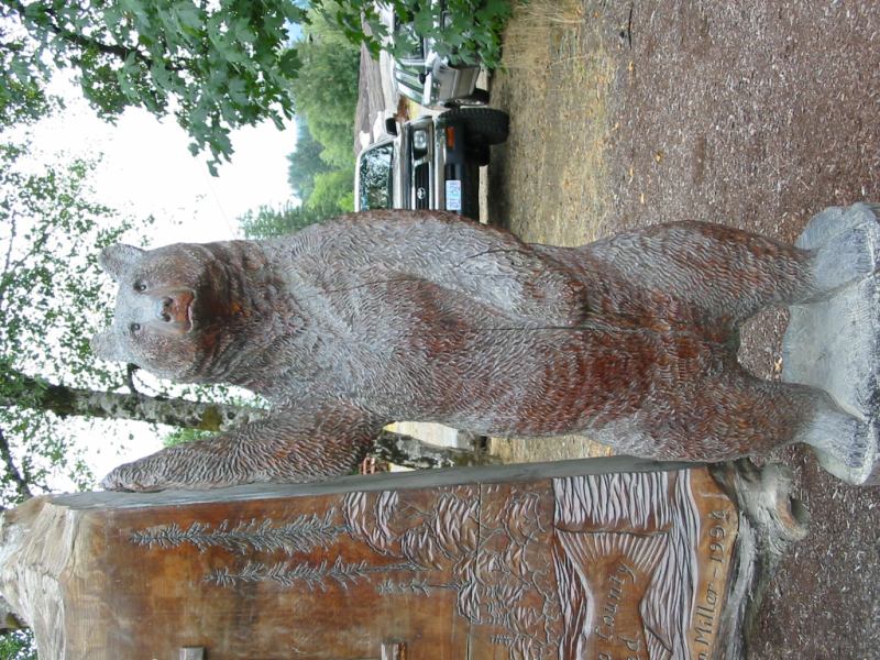 * Image 7