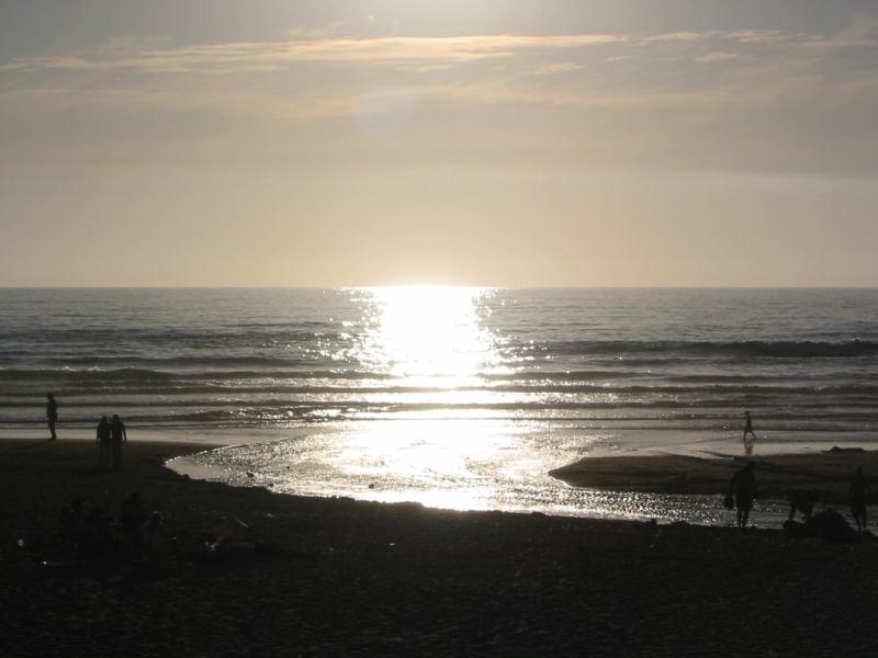* Image 81