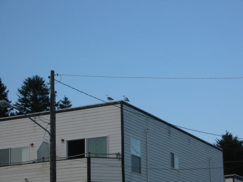 * Image 95