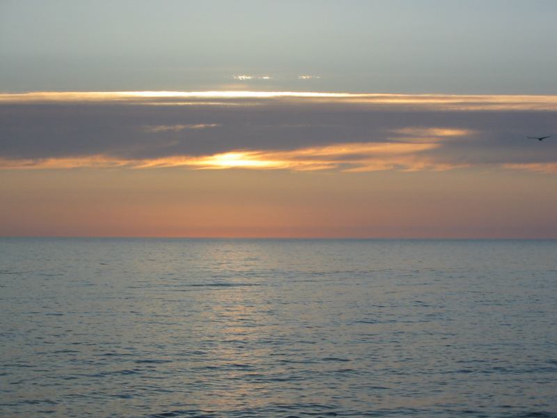 * Image 99