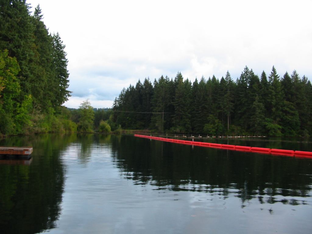 * Image 5