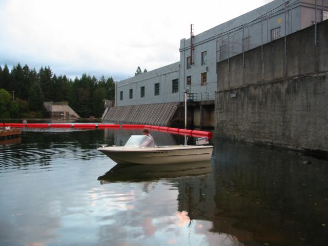 * Image 3