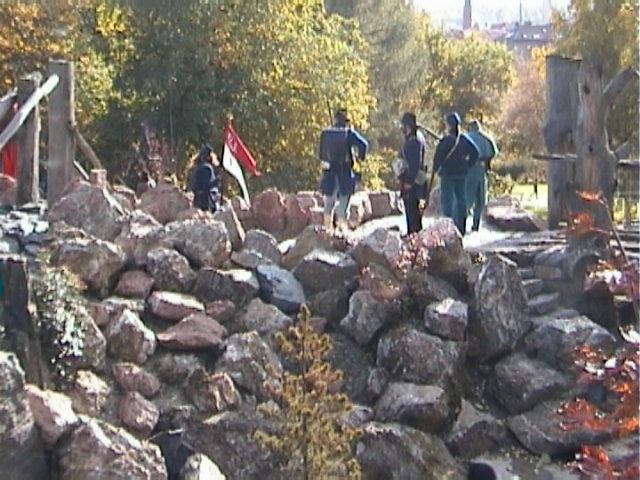 * Image 35