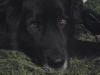 DSC00006.JPG - 2002:11:26 12:59:38