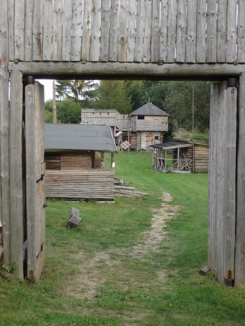 * Image 14