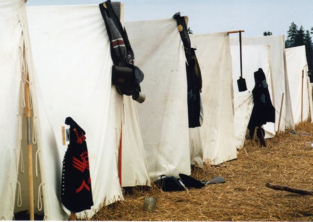 * Image 4
