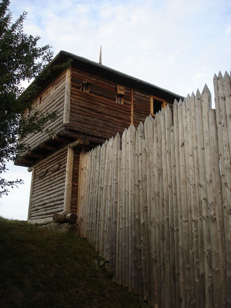 * Image 15