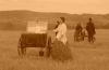 hrosikupr.jpg - 2005:09:10 12:43:16