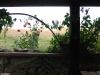 Sn�mek 122.jpg - 2005:09:10 17:19:21
