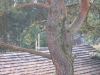 Sn�mek 128.jpg - 2005:09:10 17:29:48