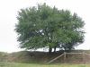Sn�mek 164.jpg - 2005:09:11 10:04:29