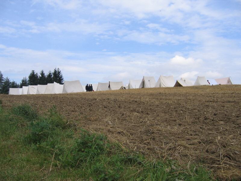 * Image 19