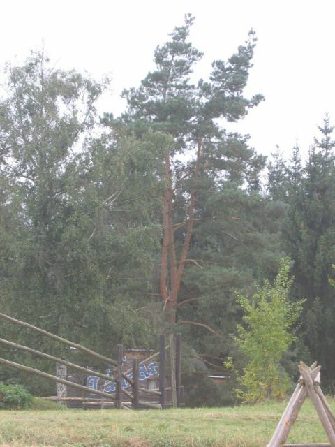 * Image 117