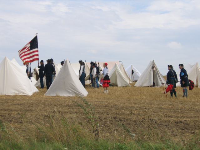 * Image 11