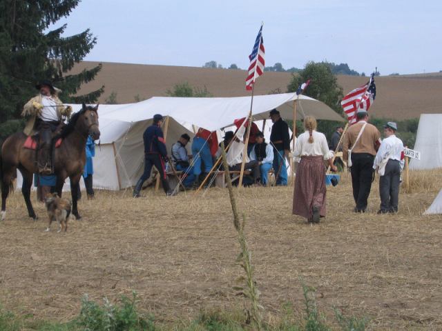* Image 13