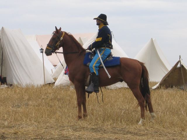 * Image 22