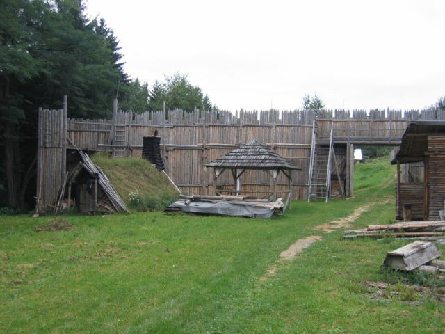 * Image 51