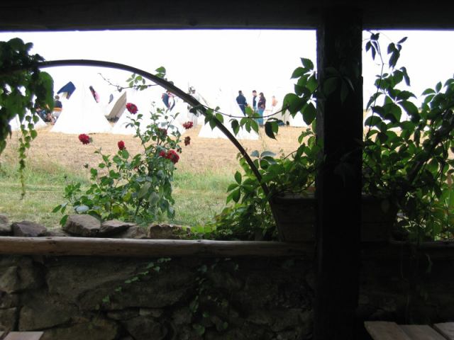* Image 88