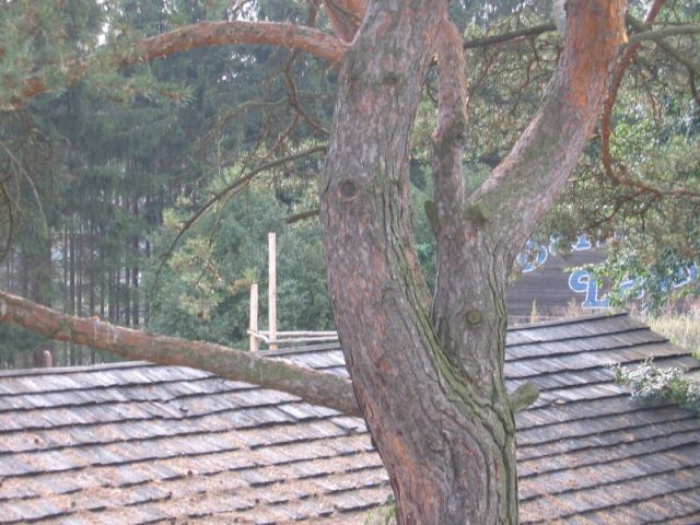 * Image 90